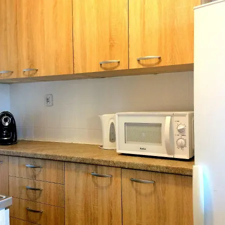 公寓 Apartament Widokowka 索波特